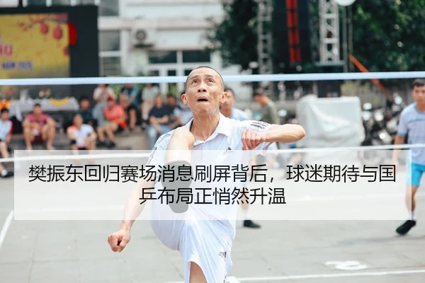 樊振东回归赛场消息刷屏背后，球迷期待与国乒布局正悄然升温